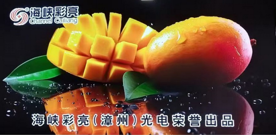 Waterproof P1.25 GOB Indoor Led Display Full Color LED Display Module 320x160mm 1/64 Scan Pixel Pitch 1.25mm